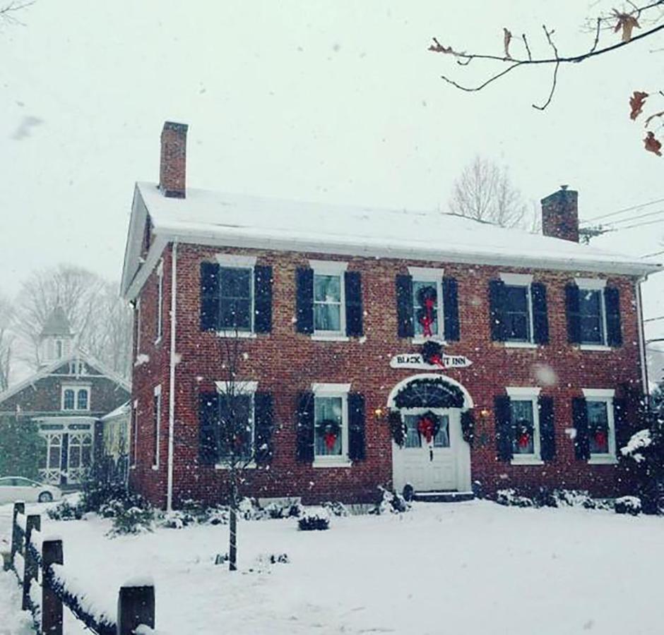 The Black Walnut Inn Amherst Dış mekan fotoğraf